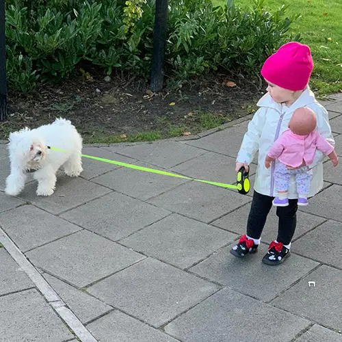 Starting point nursery girl walking a dog