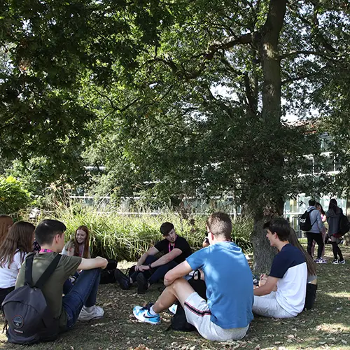 students sitting under tree